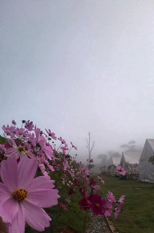 Lys I Dalen Resort&Camping Khao Kho Esterno foto
